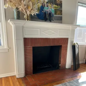 Chimney Services specialist
